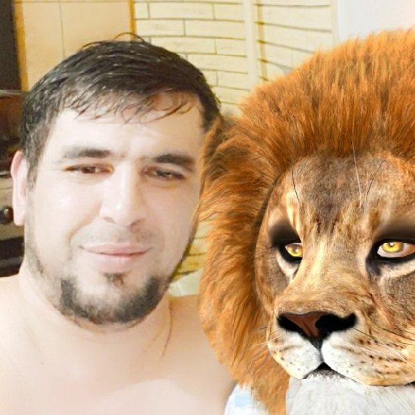 Лев в 42 года