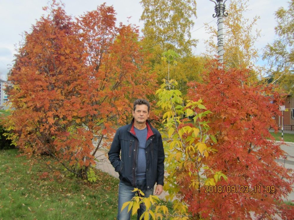 одноклассники юрга. феорана юрга. тартыков мударис опг юрга. одноклассники юрга. одноклассники юрга.