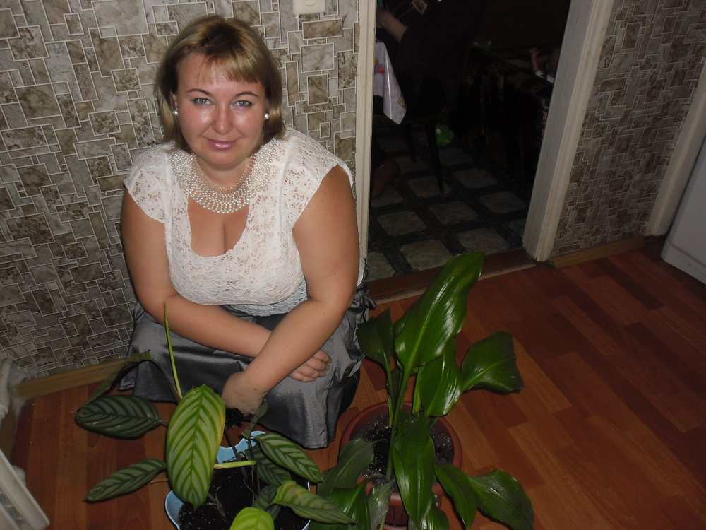 адвокаты сегежа