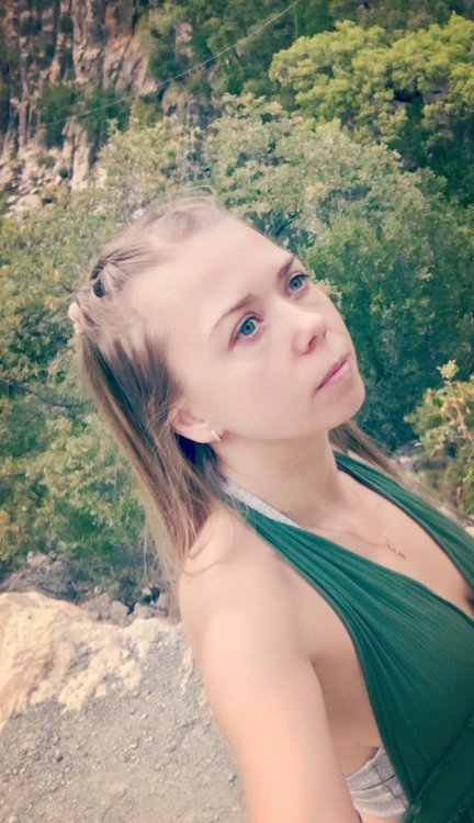 Stella mosca