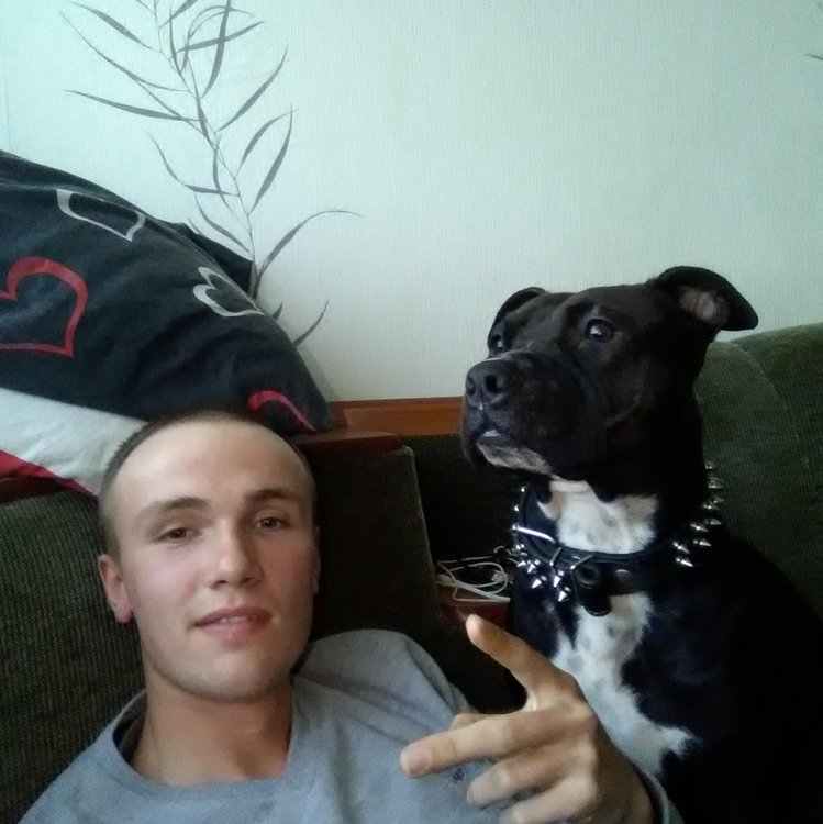 лицо курска